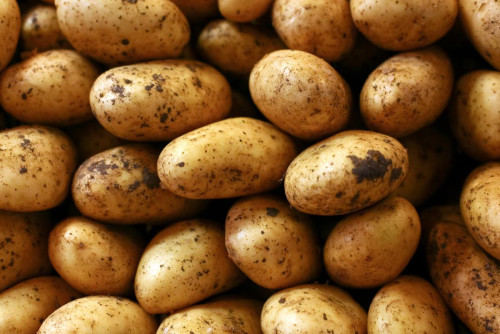 potato seeds